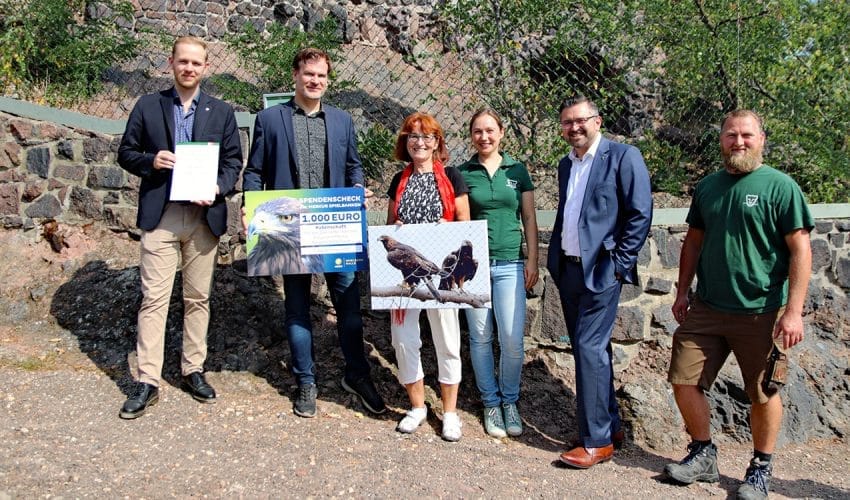 Merkur Spielbank Halle Patenschaft Steinadler-Pärchen